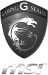 MSI